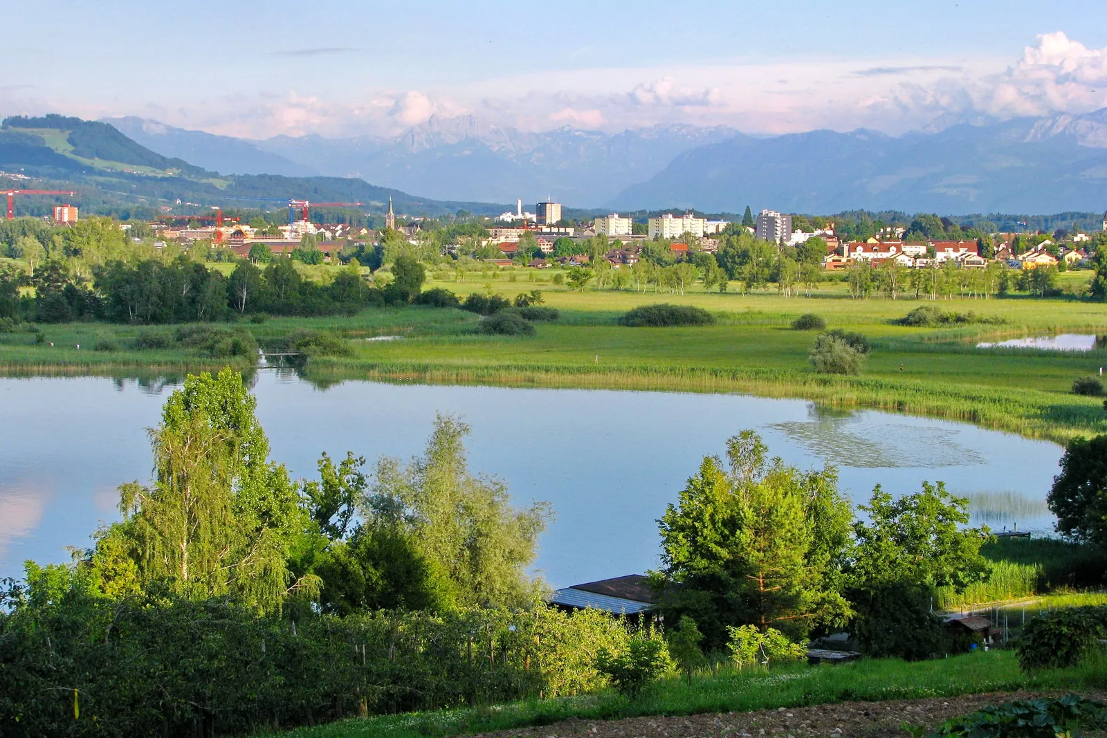Blick von Seegräben über den Pfäffikersee Richtung Wetzikon und Glarner Alpen